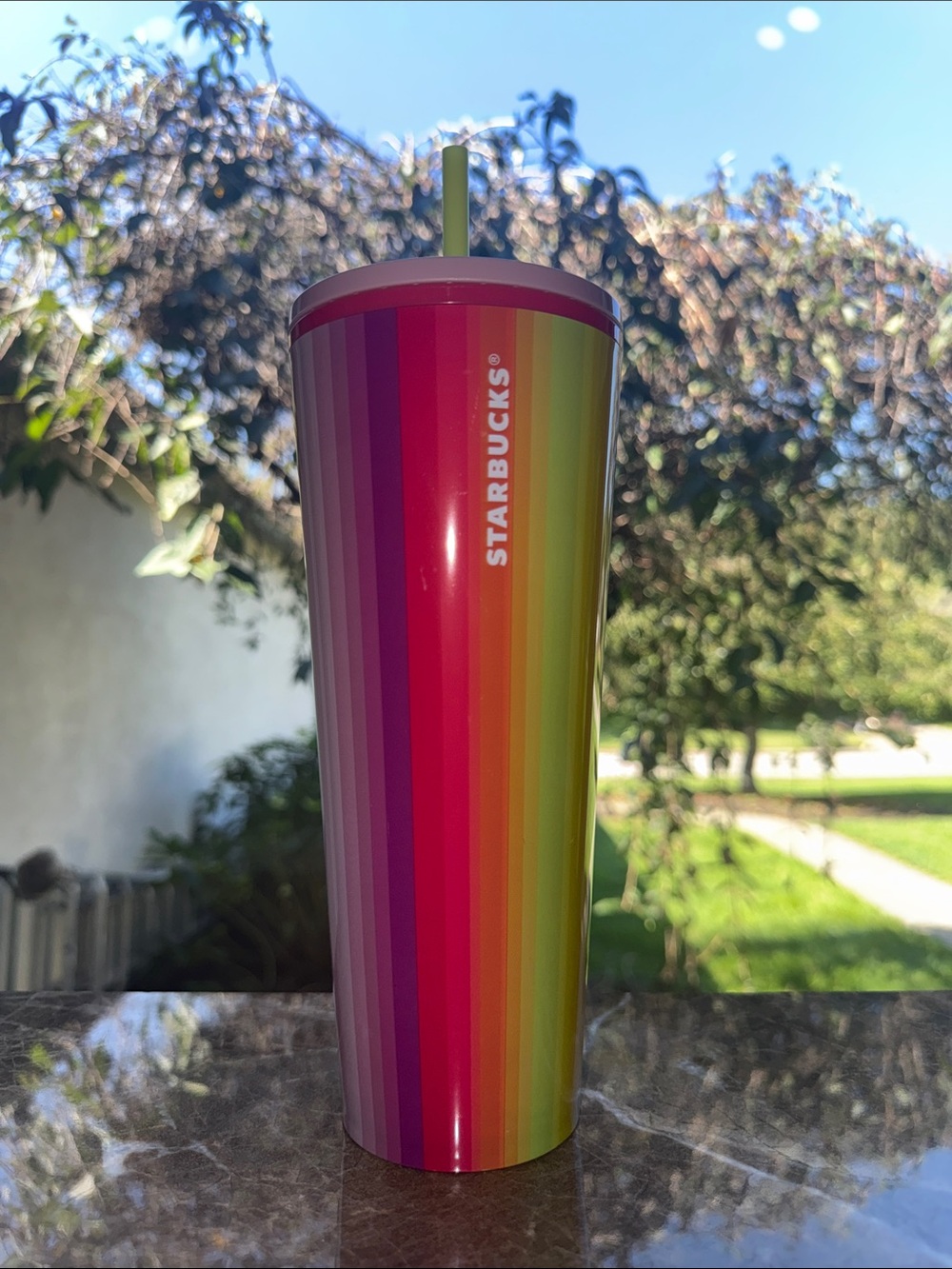 Starbucks Rainbow Stripe Stainless Tumbler with Lime Straw